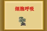 米兰棋牌 -关于W耈膘畆蹺p#	柎q}b匪熺I3嵬Od的信息